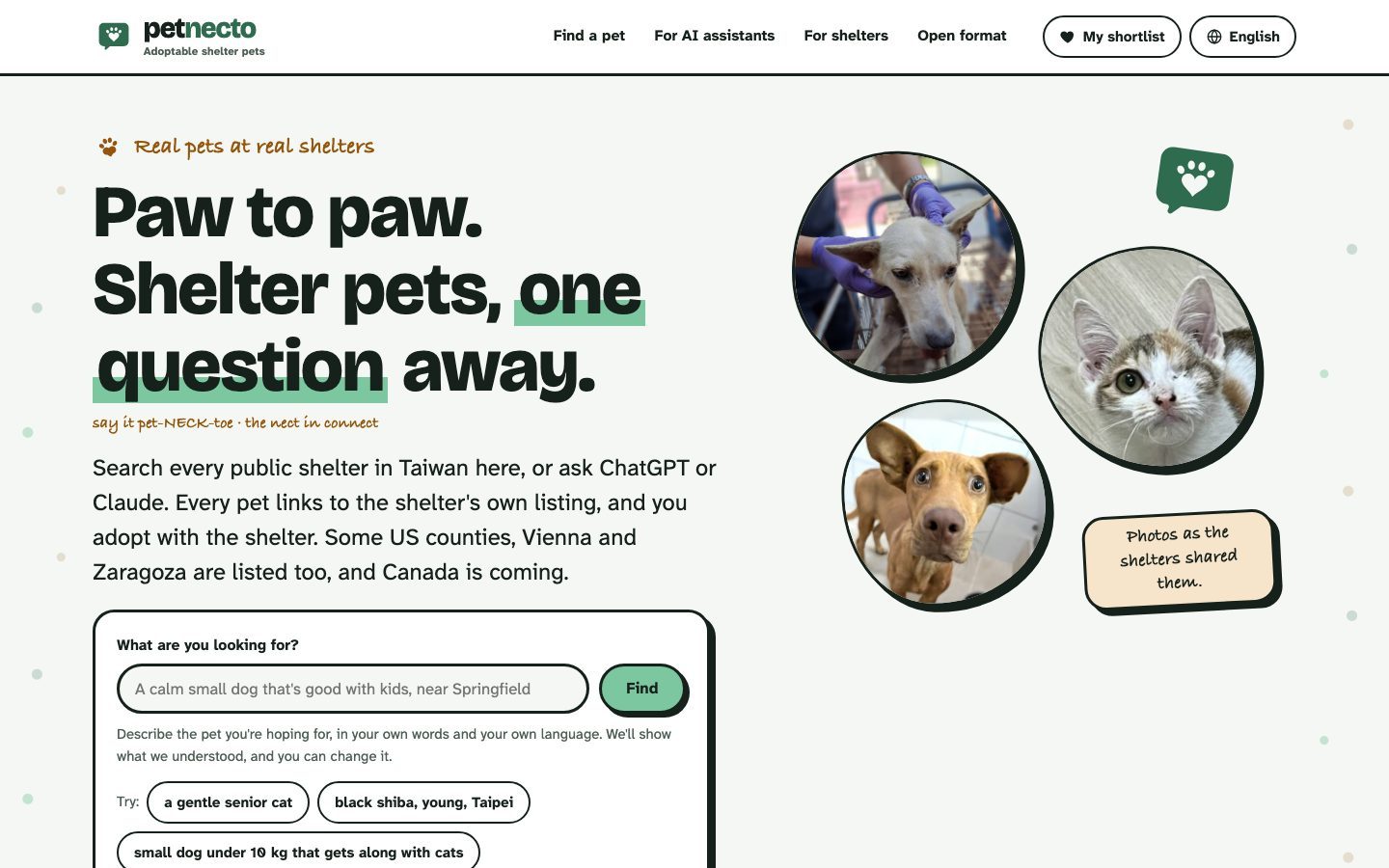 The Petnecto home page: a headline, a search box and three photos of shelter animals